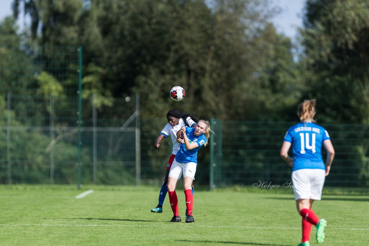 Bild 328 - wBJ Hamburger SV - Holstein Kiel : Ergebnis: 2:0